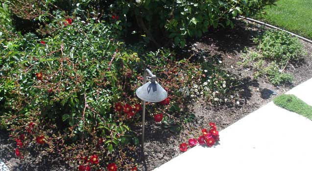 Low Voltage Lighting, Nightscaping