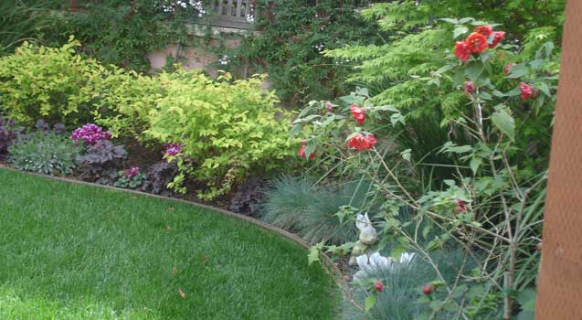 Landscape Design: Planting, Lawns, Softscaping