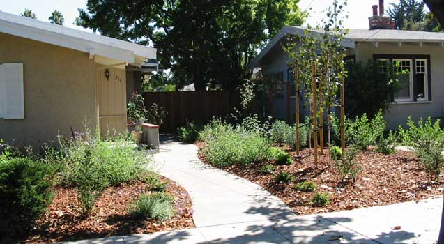 Landscape Design: Planting, Lawns, Softscaping