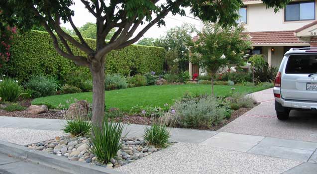 Landscape Design Cupertino