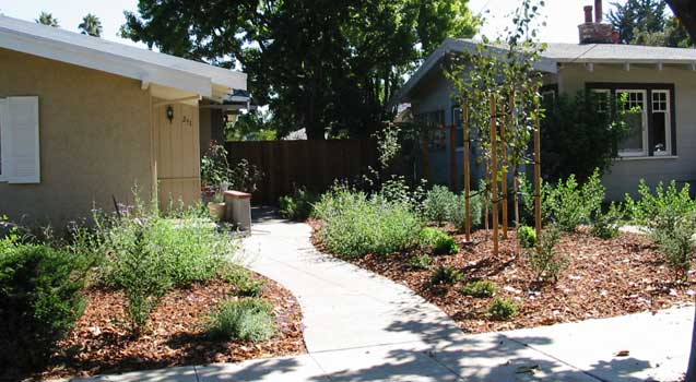 Landscape Design Mountain View
