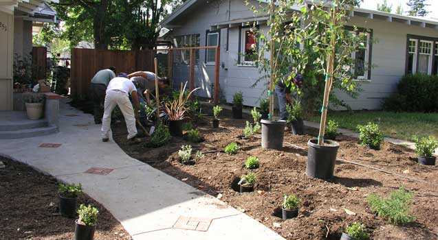 Landscape Design Mountain View