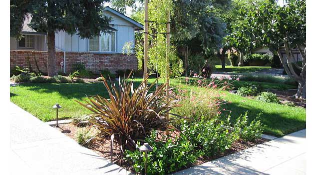 Landscape Design: Santa Clara