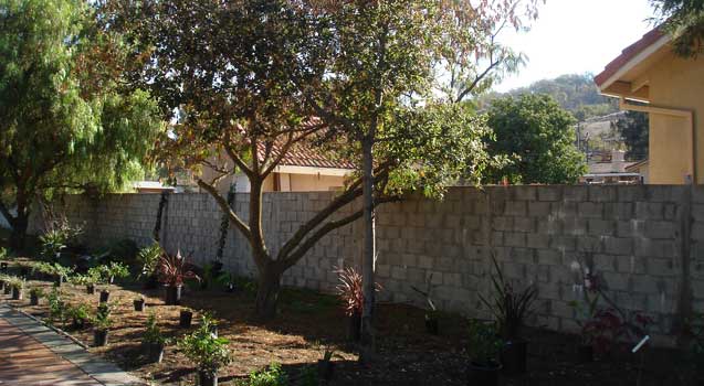 Landscape Design: Almaden Valley