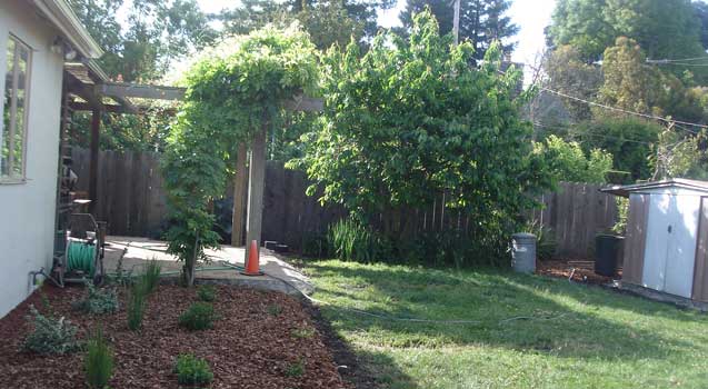 Landscape Design: Palo Alto